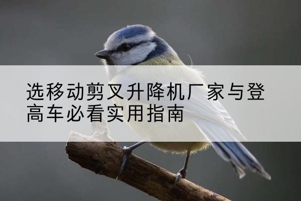 田家庵电动升降机厂家-选移动剪叉升降机厂家与登高车必看实用指南