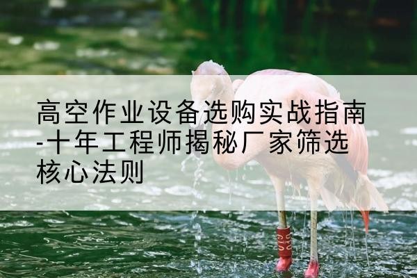 田家庵剪叉式升降机厂家-高空作业设备选购实战指南-十年工程师揭秘厂家筛选核心法则