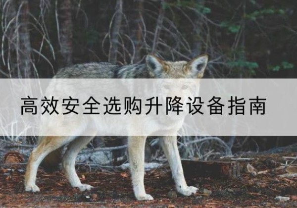 田家庵升降货梯厂家推荐-*安全选购升降设备指南