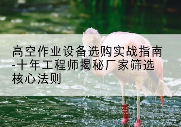 田家庵剪叉式升降机厂家-高空作业设备选购实战指南-十年工程师揭秘厂家筛选核心法则